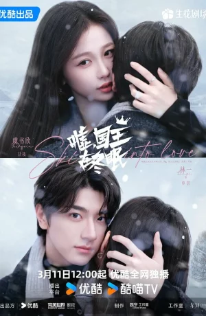 Дорама Тсс, Король спит онлайн